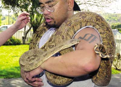 Operation Reptile Rescue under way