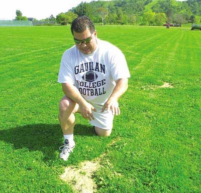 Field of ruts to field of dreams