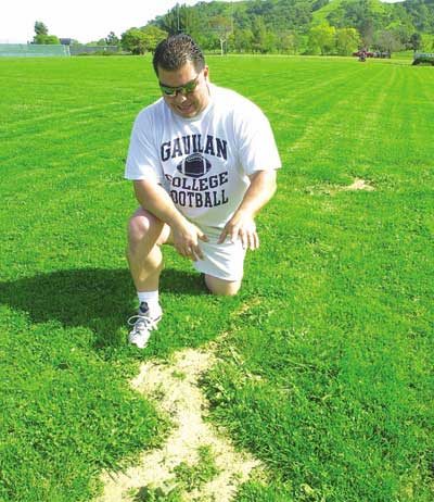 Field of ruts to field of dreams