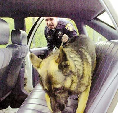 MH police dog graduates from narcotics school