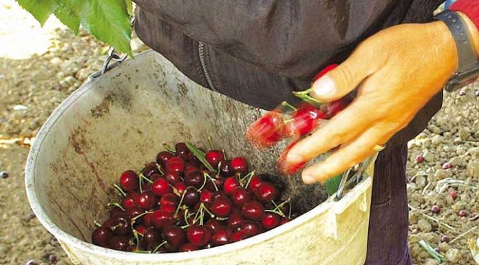 Hot, hot and hot – relief on way