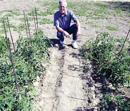 Not waiting for feds to set safety level