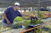 Difficult year for agriculture