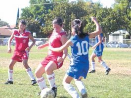 Youth Soccer 9-16