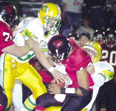 Acorns can’t handle physical Seaside