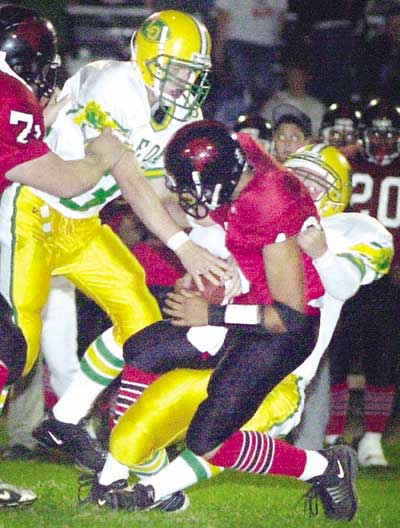 Acorns can’t handle physical Seaside