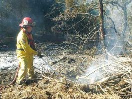 Fires nearly under control