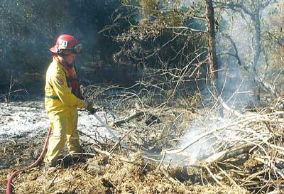 Fires nearly under control