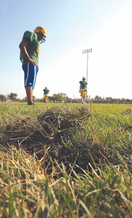 Field in shambles after first game