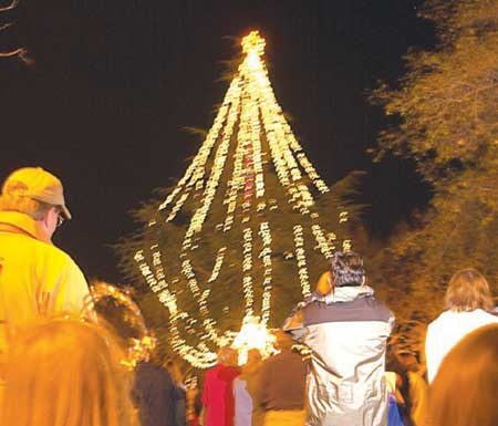 tree lighting