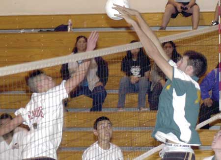 Local sports teams, athletes made big splash this year