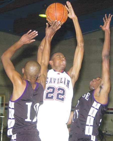 Hot dogs to show their stuff at Tres Pinos show