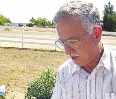 Historical buildings woven in history throw