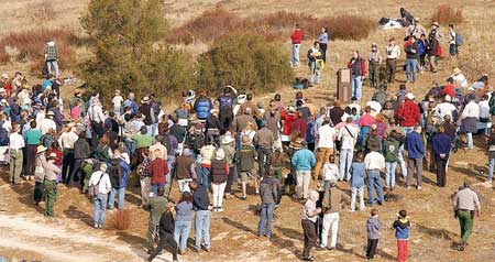Dash into second place: seventh-inning rally lifts Acorns over Balers 1-0