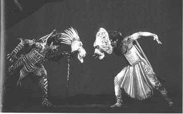 Getting along with wildlife in backyards