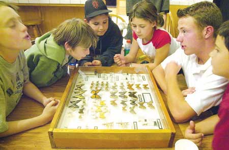 4-H threatened by county cutting UC Extension