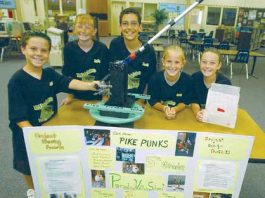 Bored elves cause havoc