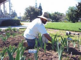 Join the Mt. Hoffman Challenge