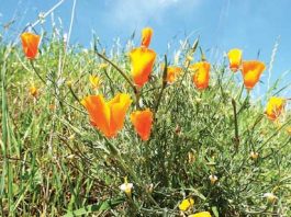 Our Town with John McKay: 2014 was year for community engagement