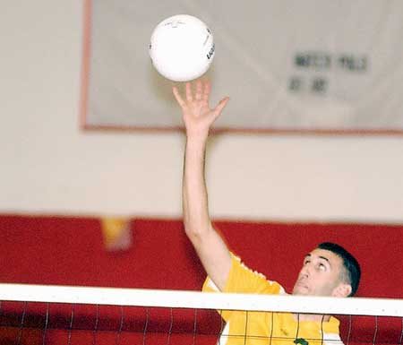 Police blotter: Liquor theft, paintball shooting