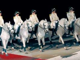 Men of five, still alive: Morgan Hill brings 5 to BVAL Finals, qualifies everyone to CCS