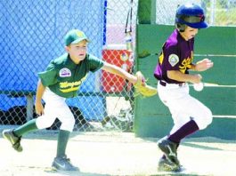 Mark your calendars 800-pound gorillas, DST is just around the corner