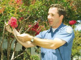 City planting takes a lot of planning