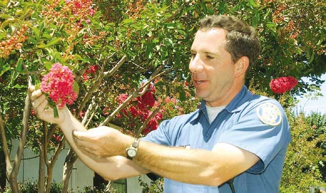 City planting takes a lot of planning