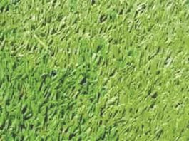 Turf’s up, costs down