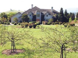 Land tax breaks abound