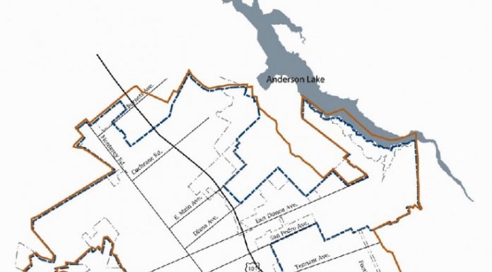 New line draws mixed reception