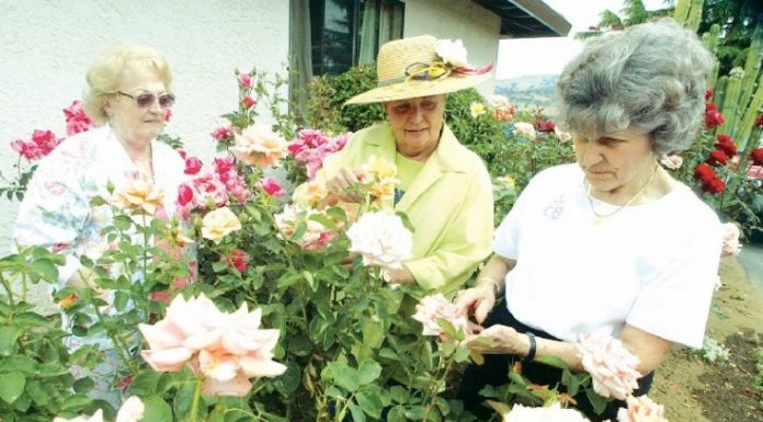 Three MH residents recipients of SF Giants Community Fund scholarships
