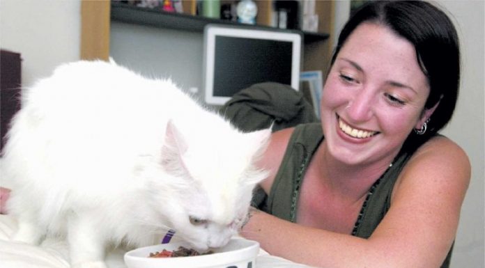 Long-time resident bids San Martin Animal Shelter farewell