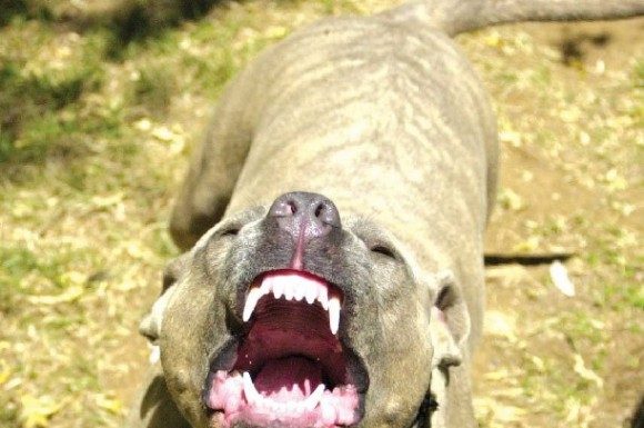 Around the Water Cooler: Downgrading the United State’s credit rating