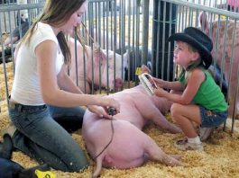 NFL: Raiders trounced by Saints