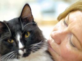 One big furry family