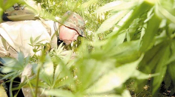 City can’t, won’t pursue Netflix move to MH