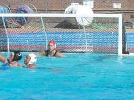 Acorns Sparkle in the Pool at St. Francis