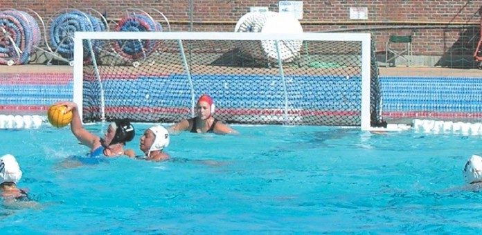 Acorns Sparkle in the Pool at St. Francis