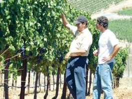 NFL: Pryor expected to take field with Raiders today