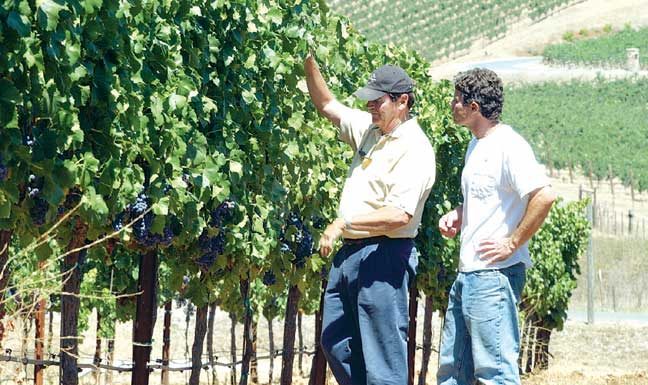 NFL: Pryor expected to take field with Raiders today