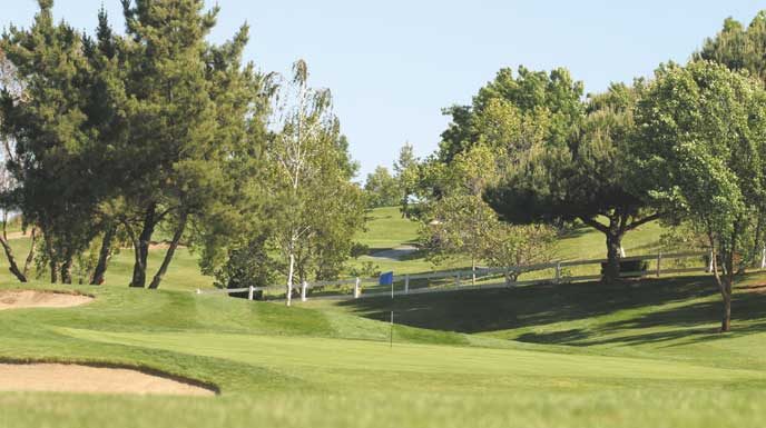 ADAMS: Woods, Frys.com Open a perfect match