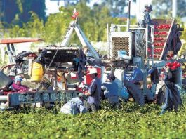 Diesel Prices Plowing Under Profits