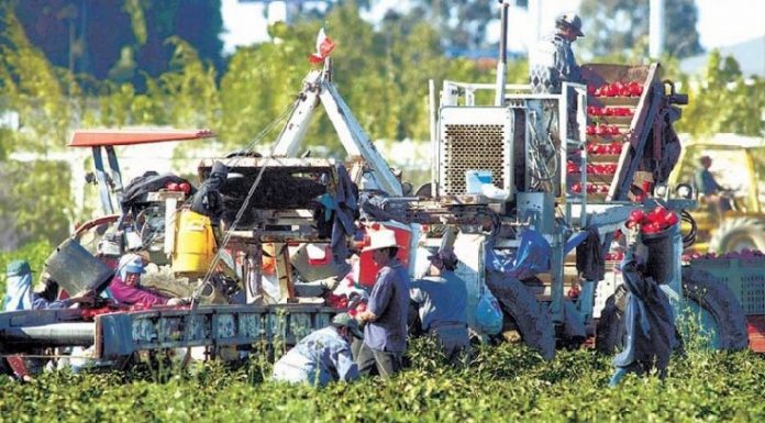 Diesel Prices Plowing Under Profits