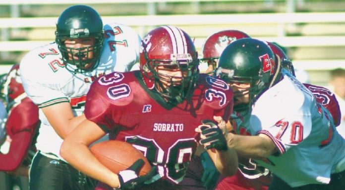 DELO: Adjust shoulders for better angle of attack