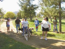D.O.G. Will Step-up Fundraising for Interim Dog Park
