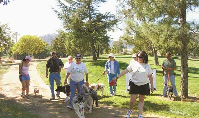 D.O.G. Will Step-up Fundraising for Interim Dog Park