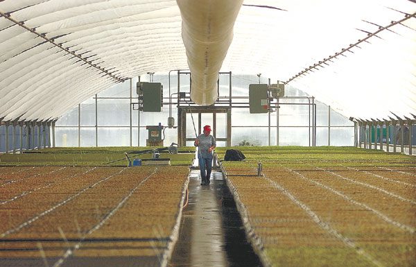 Energy Costs Wilting Profits