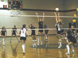 Two dead in string of wrecks; bus passengers elude tragedy