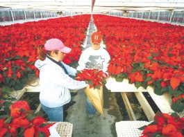 Farm fresh: Learning hub is pairs long-term vision